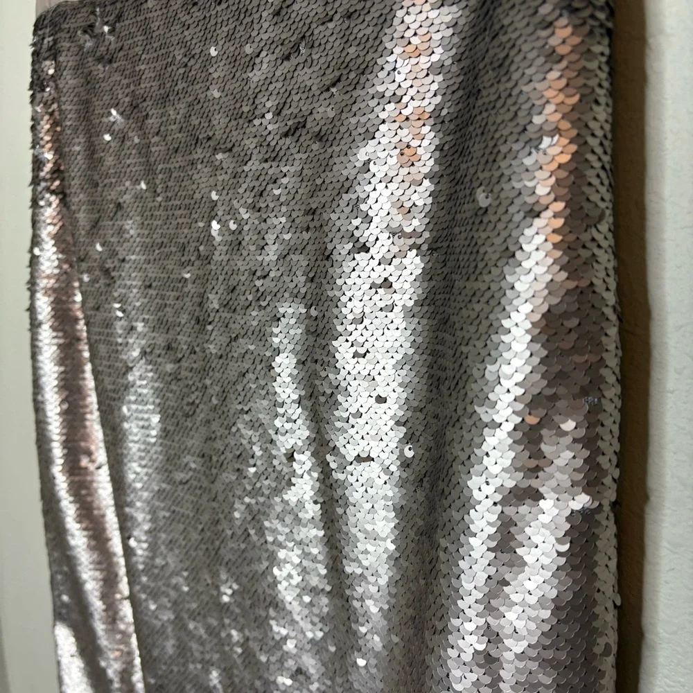 Banana Republic Matt Silver Sequin Pencil Midi Skirt Size 6